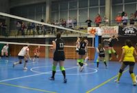 vale volley